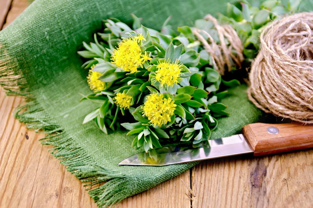 6 Facts To Know Before You Buy Rhodiola Rosea